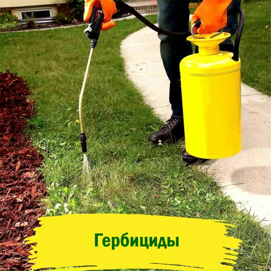 Гербициды и средства защиты растений